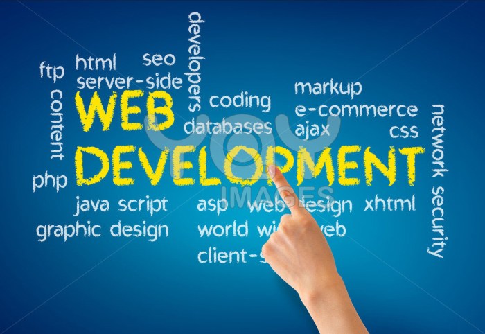 Web developer: what skills to practice the profession? (Infographics)